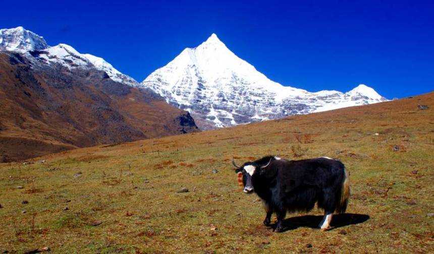 Druk path trek with culture tour - 10 Days — 1