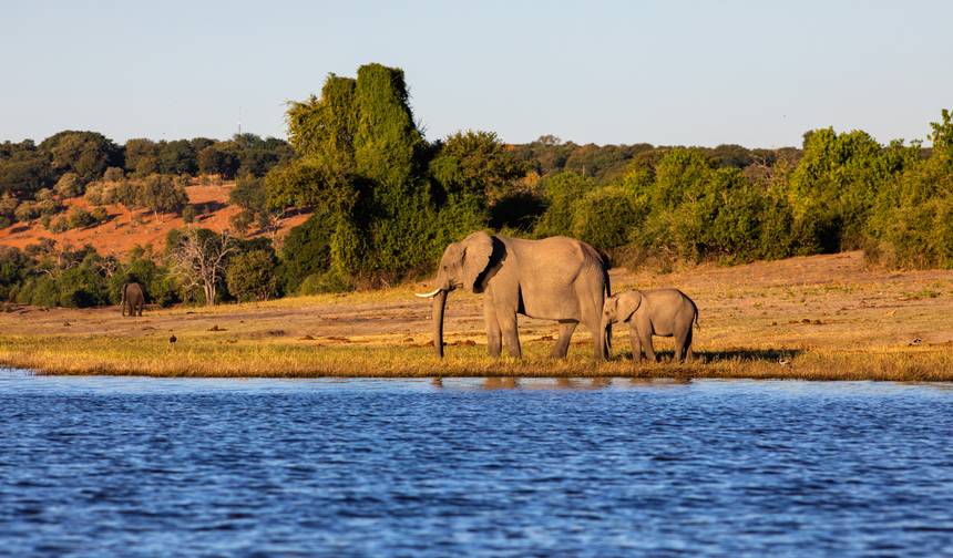 Cruzeiro Safari ao longo do Rio Zambeze - África do Sul, Botsuana, Namíbia, Zimbábue com estadia prolongada na Península do Cabo (cruzeiro porto a porto) (17 destinos) — 1