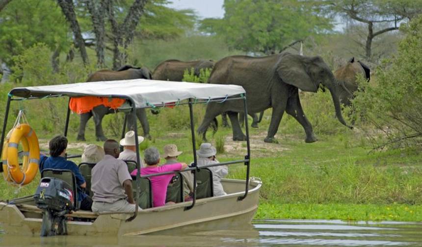 Safari de 3 Dias e 2 Noites no Nyerere National Park com Alojamento em Lodge — 1