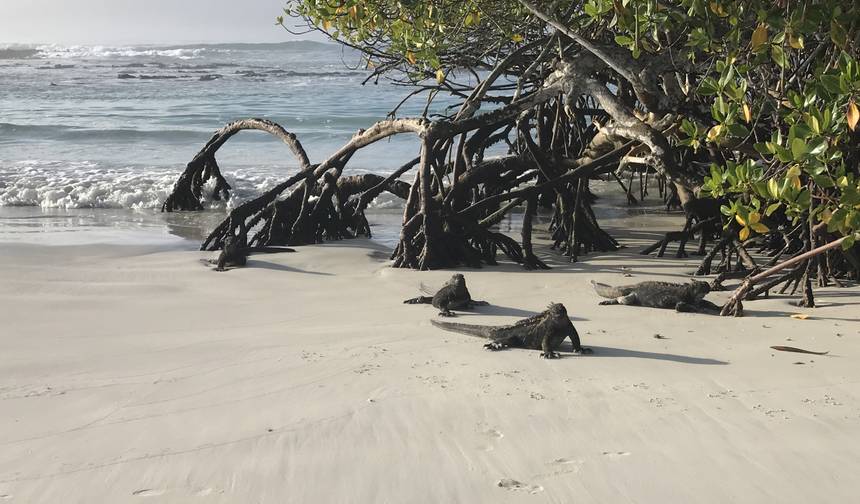 8 Dias Multiesportivo em Galápagos — 1