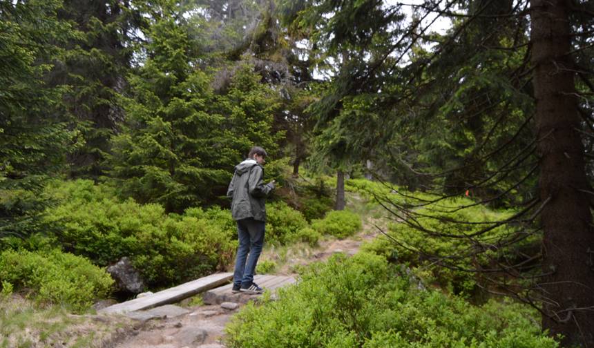 Caminhada pelas Montanhas Gigantes — 1