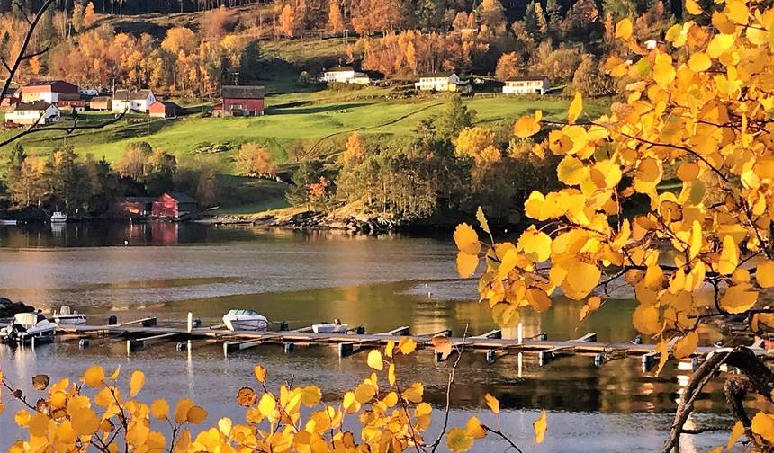 Visit Fjords in Golden Autumn — 1