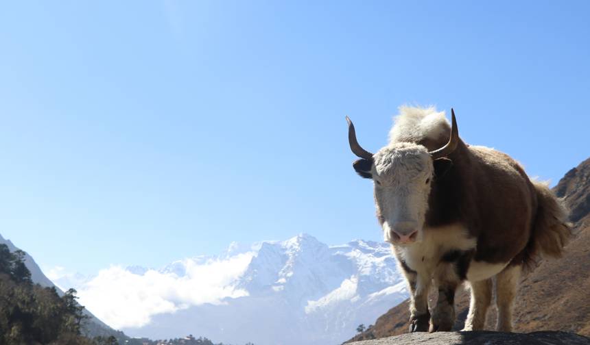 Trekking do Bazy pod Mount Everestem 12 dni — 1