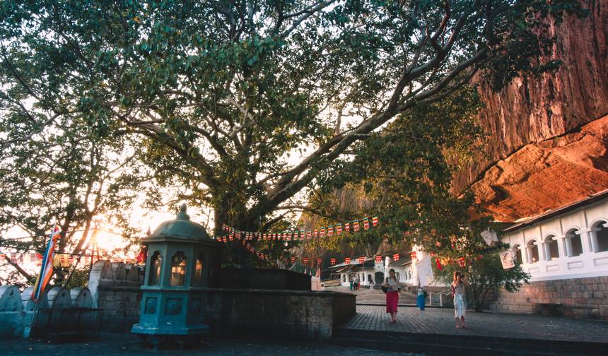 Morze, Herbata i Safari – Sri Lanka — 1