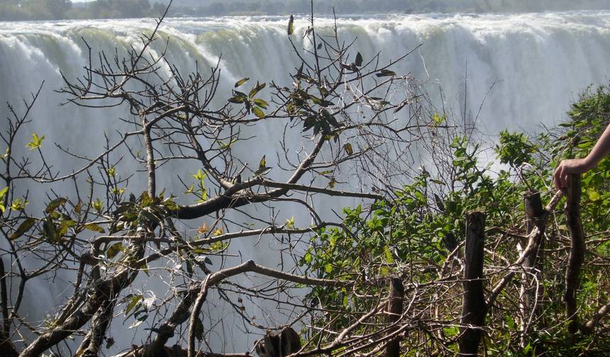 شلالات فيكتوريا، Hwange و Chobe — 1