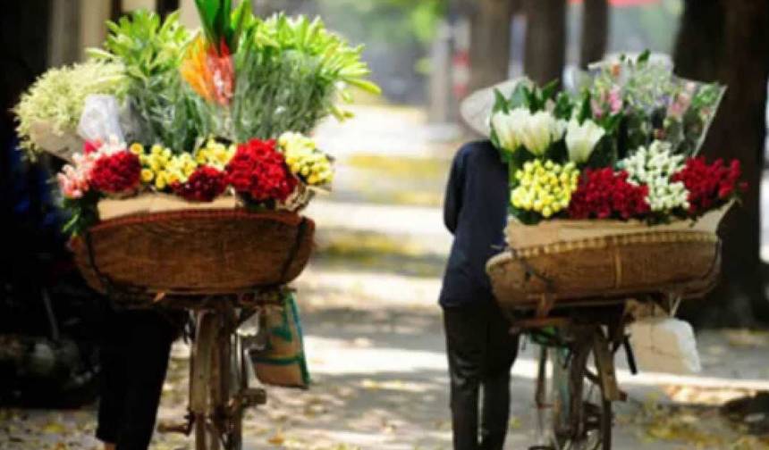 12 Dias no Vietnã, de Ho Chi Minh city até Hoi An e Hanói — 1