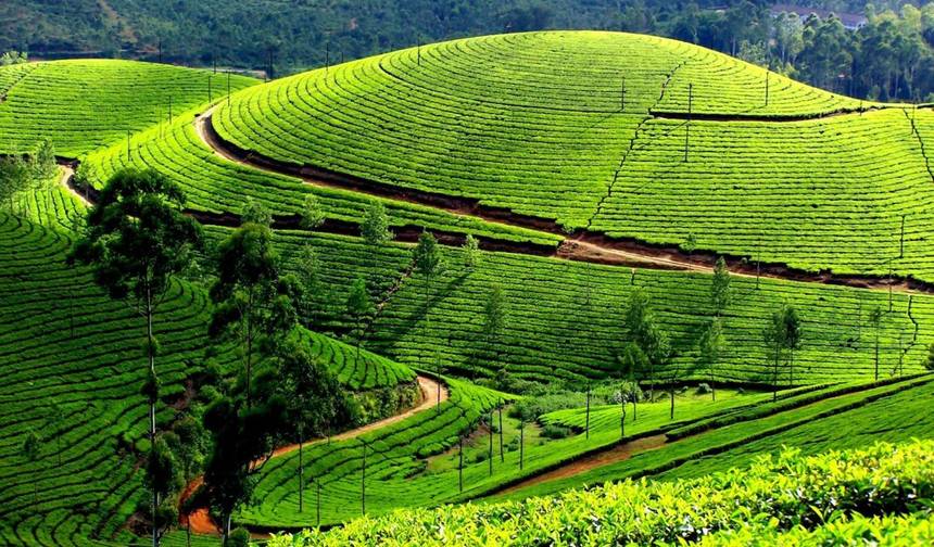 Excursão de 7 Dias pelo Coração Cultural do Sul da Índia (Tudo INCLUÍDO) — 1