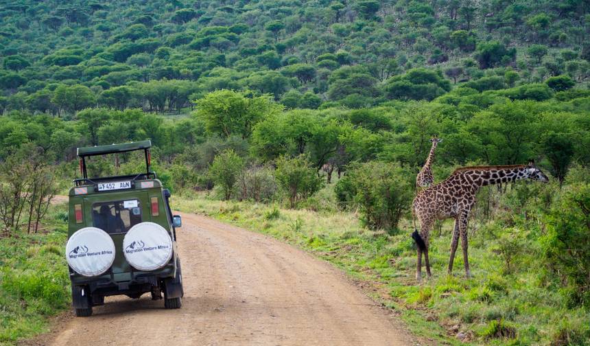Safari de 5 Dias: Experiência da Vida Selvagem na Tanzânia — 1
