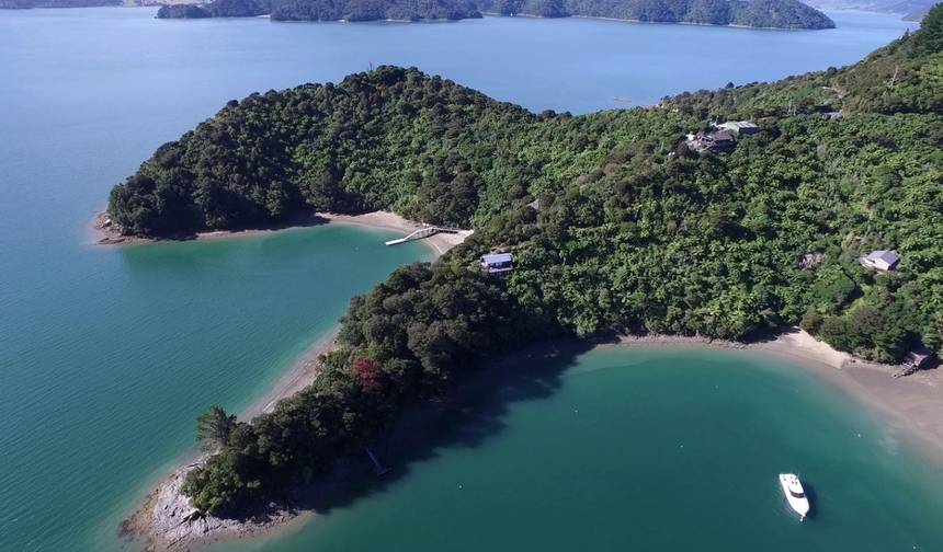 Vista da Nova Zelândia — 1