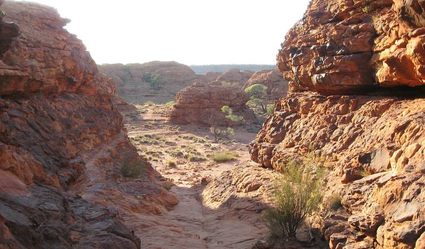 Safári no Outback (Pequenos Grupos) — 1