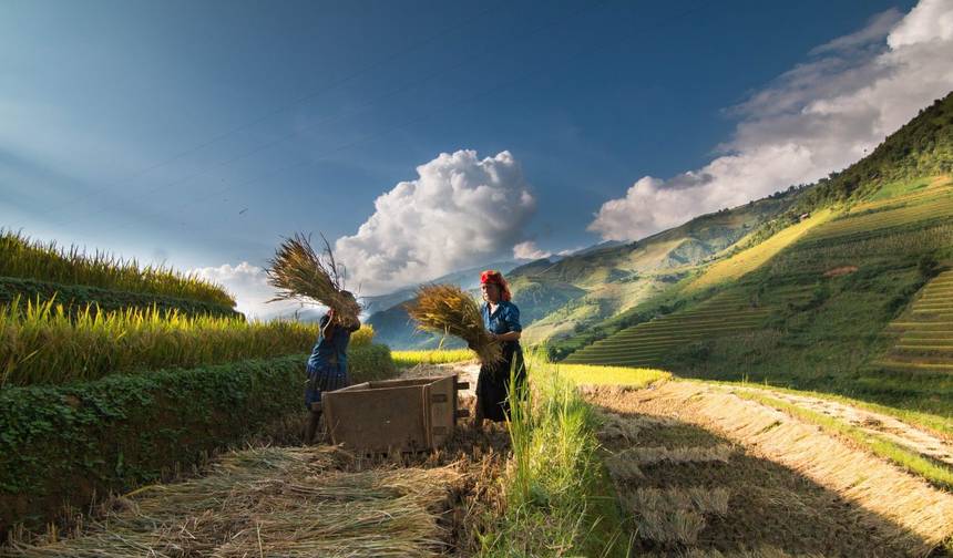 فيتنام المميزة في 13 يومًا بواسطة Realistic Asia — 1