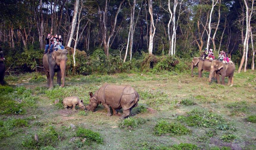Safári na Selva no Nepal — 1