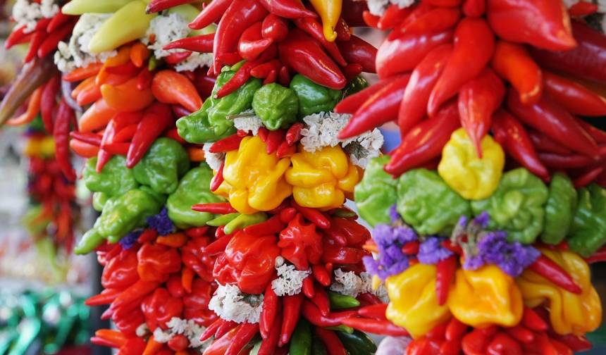 A Taste of Mexico City, City Break — 1