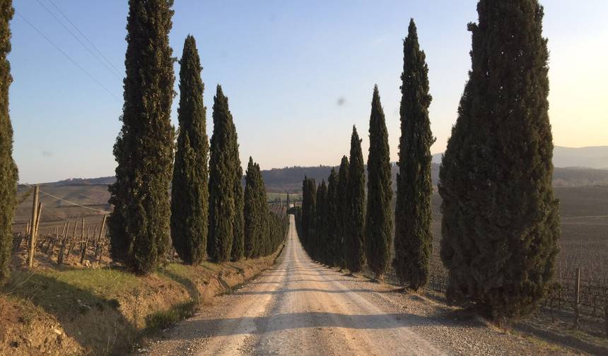 Tour de Vinhos na Toscana - 3 dias com os locais — 1