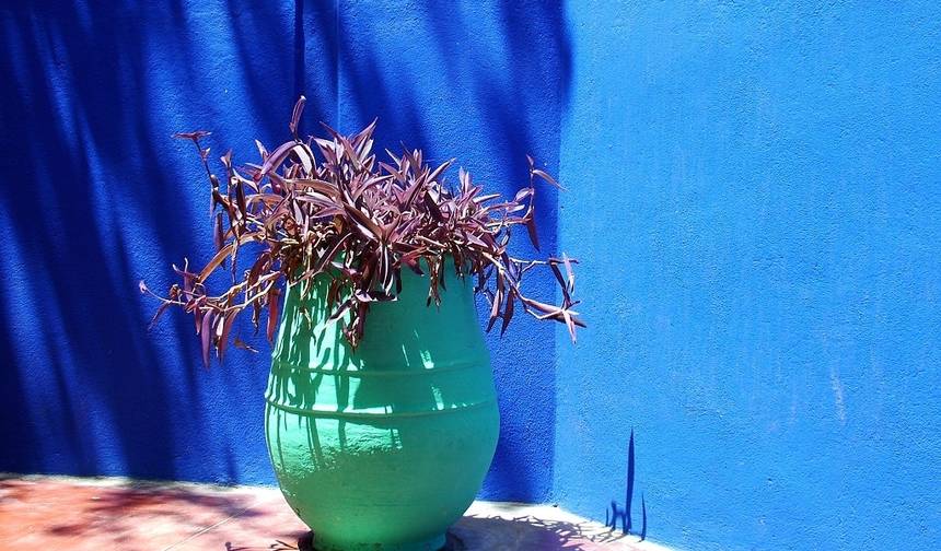Chefchaouen e Norte, Tour Privado — 1