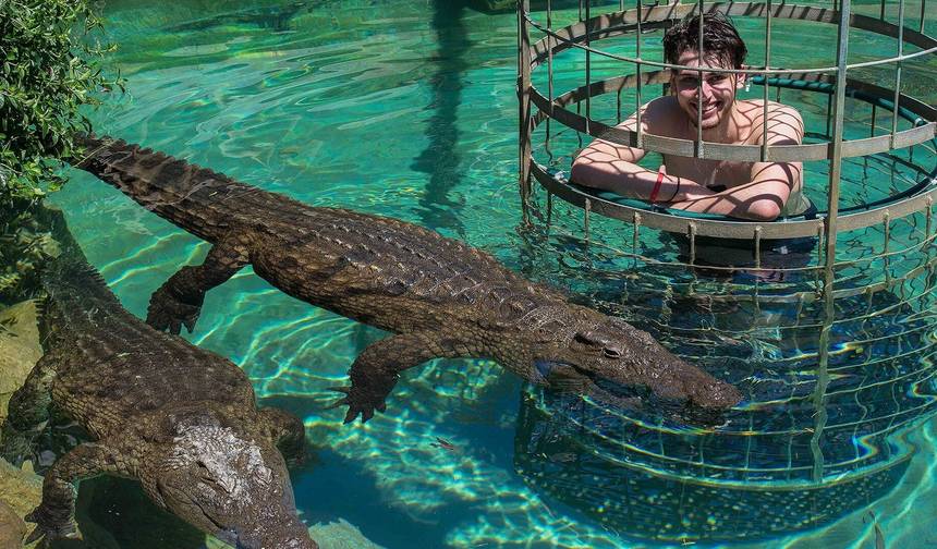 南アフリカ5日間アトラクション：ワニのケージツアー、ワインテイスティング、ロベン島ツアー、ケープ半島、アクイラサファリツアー — 1
