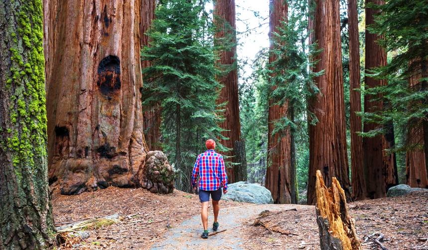 Excursão com Alojamento Noturno em Yosemite - 2 Dias — 1