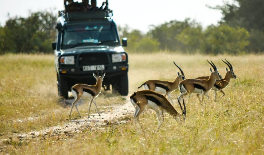 جولة انضمام اقتصادية لمدة 5 أيام إلى Amboseli وMasai Mara في كينيا (مناسبة للمجموعات) — 1