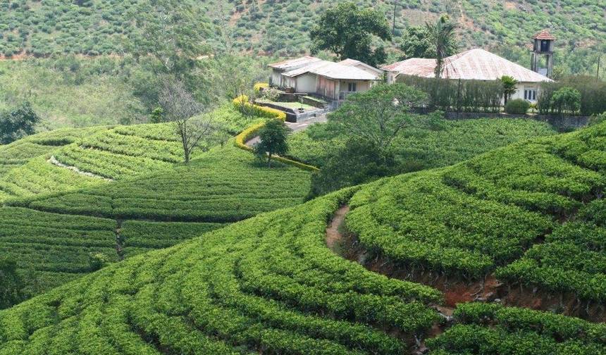 All in One Sri Lanka, Private Tour — 1