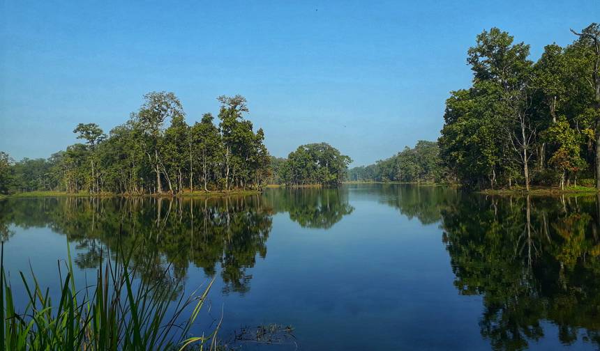Safári na Selva de Chitwan — 1