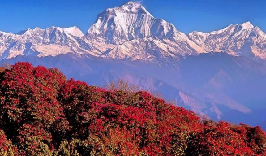 Trekking do Nascer do Sol em Poonhill - 7 Dias — 1