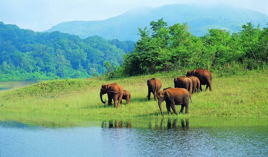 Incrível Viagem a Kerala — 1