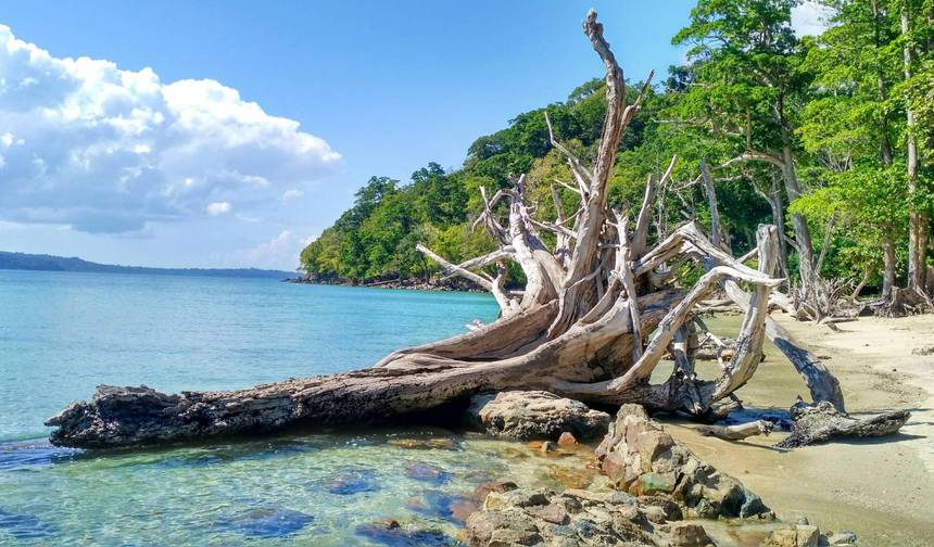 Tour de 8 Dias pelas Ilhas Andaman e Nicobar — 1