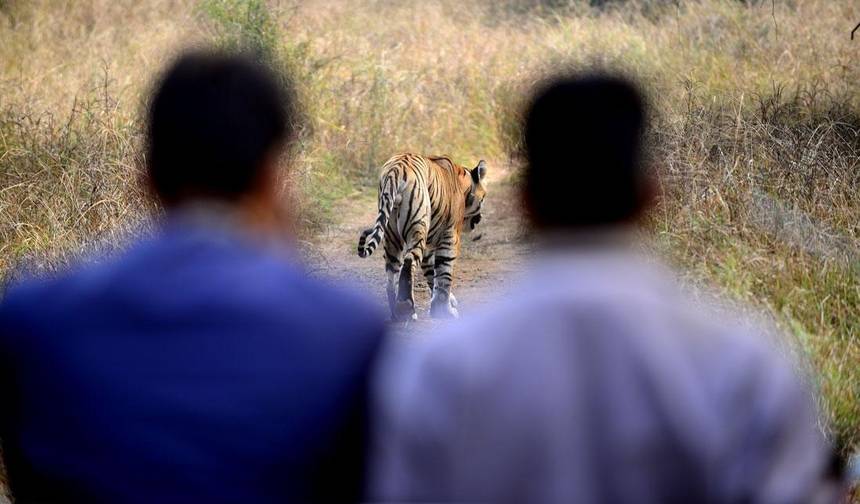 Excursão de 10 Dias pela Vida Selvagem com Jaipur — 1