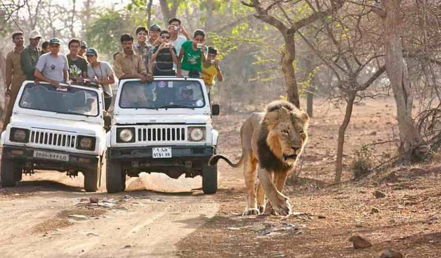 جولة Sasan Gir مع Somnath Dwarka — 1