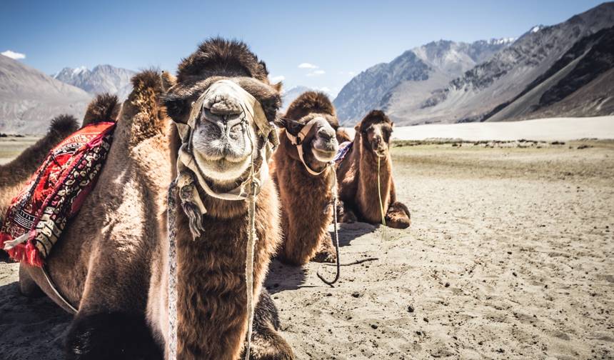 Journey to Ladakh with Unbelievable Memories — 1