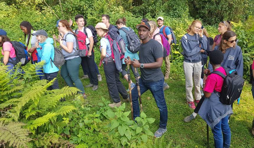 Trekking de Gorilas e Chimpanzés de 6 Dias em Ruanda — 1