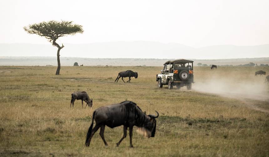 3 Day Top Notch Tanzania Safari — 1