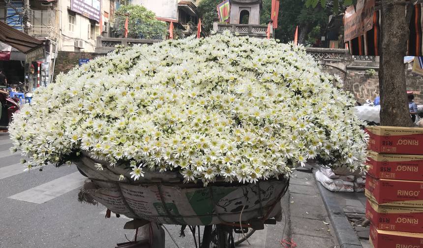 Hanoi 4 dni / 3 noce (Ha Noi, Ha Long, Ninh Binh) — 1