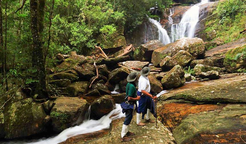 Aventura Noturna na Floresta Tropical de Sinharaja com Traslados de Retorno — 1