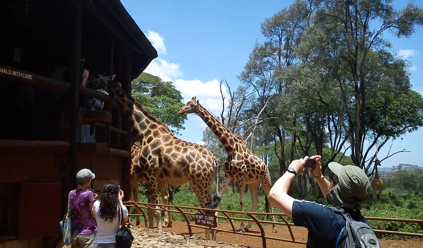 Passeio de um dia: David Sheldrick e Centro de Girafas — 1