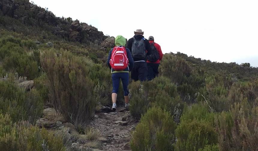 نزهة Mt Kenya ليوم واحد — 1