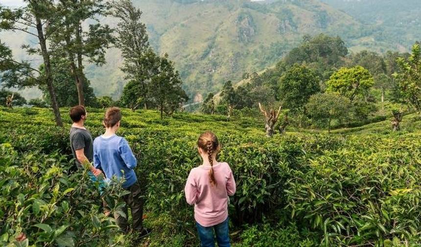 Sri Lanka Selvagem e Praia para Famílias - 13 dias — 1