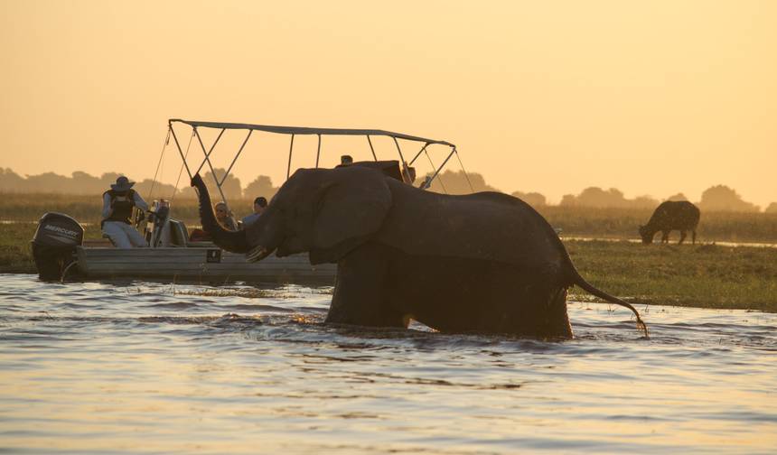 Botswana Grandeur Explorer Tour: Okavango Delta, Chobe National Park, Victoria Falls — 1