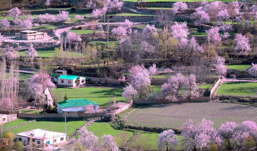10-dniowa wycieczka Kwitnącej Wiśni w Dolinie Hunza, Pakistan — 1