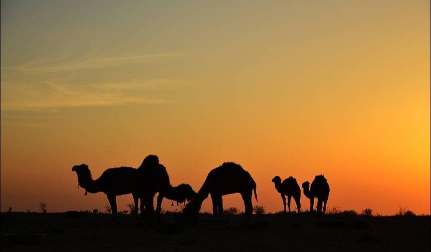 بحر آرال وأسطورة أوزبكستان - 12 يومًا — 1