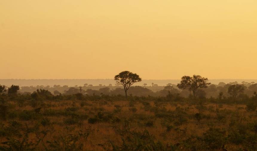 Safari de 8 Dias: Parque Kruger à Cidade do Cabo — 1