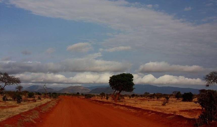 Safari de Luxo de Dez Dias: Sol e Areia — 1