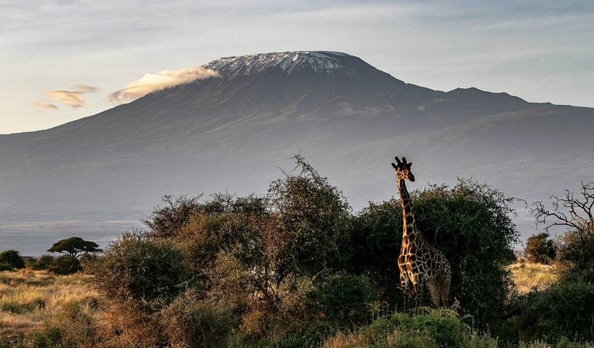 Machame Route - 7 Days — 1