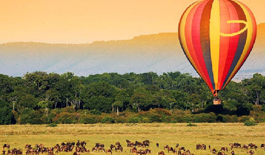 7 Days Kenya and Tanzania private  medium range driving safari — 1