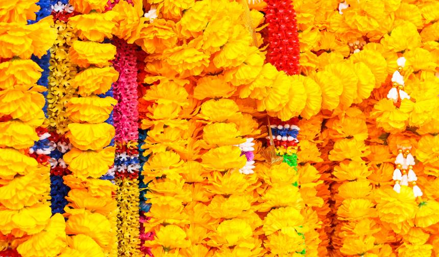 Triângulo Dourado com Haridwar e Rishikesh, Super Economia — 1
