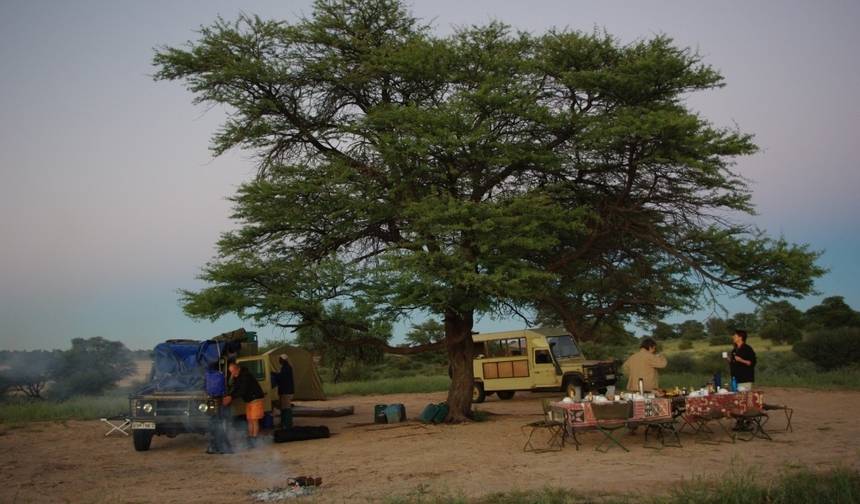 Liuwa、Kafue、South Luangwa国立公園 - ザンビアの荒野を探検 — 1