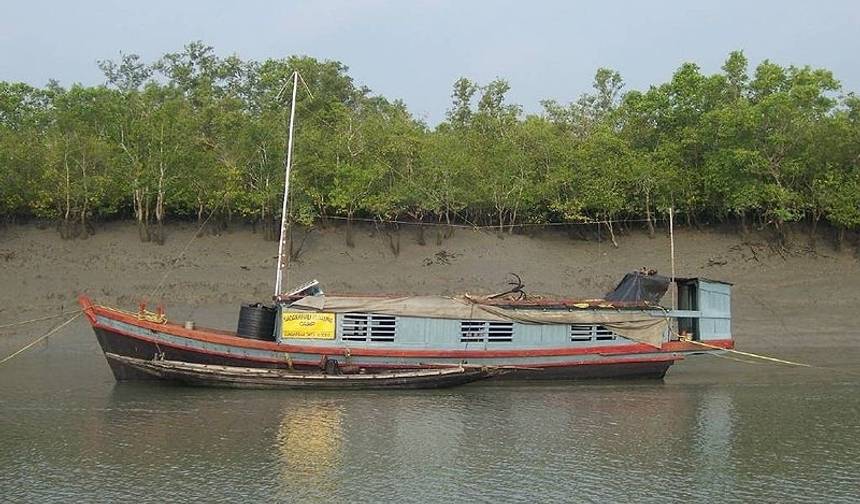 Rezerwat Tygrysów Sunderbans — 1