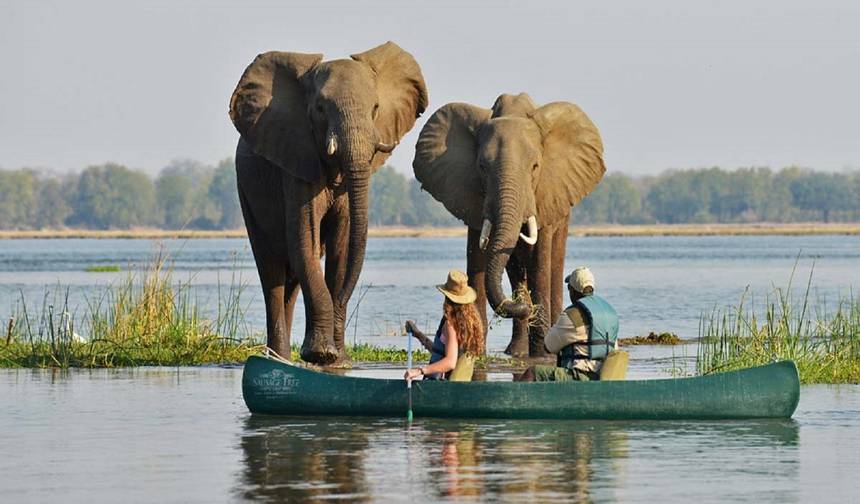 7 Days Luxurious Tanzania wildlife  Breakaway — 1