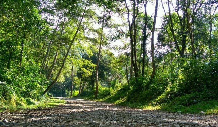 Shivapuri National Park Hike - Day Hike — 1