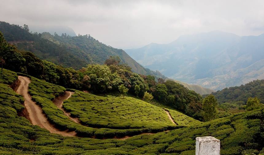 Kerala Zaprasza — 1